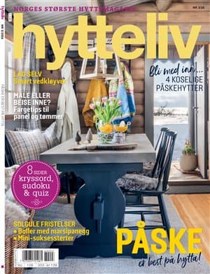 Forside av Hytteliv